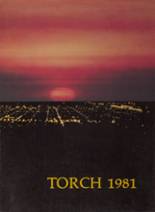 Torrance High School 1981 yearbook cover photo