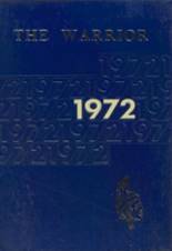 1972 Adena High School Yearbook from Frankfort, Ohio cover image