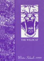 Wister High School 1999 yearbook cover photo