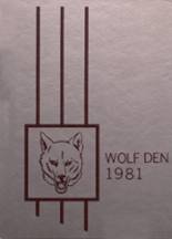 1981 Dilley High School Yearbook from Dilley, Texas cover image