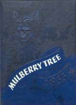 Mulberry High School 1953 yearbook cover photo