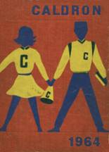Central High School 1964 yearbook cover photo