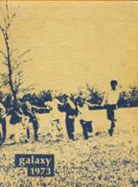 Robinson High School 1973 yearbook cover photo