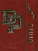 Deer Park High School 1981 yearbook cover photo