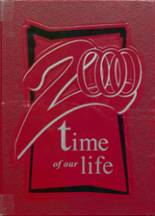 2000 Pittsfield High School Yearbook from Pittsfield, Illinois cover image