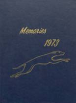 1973 Flemington High School Yearbook from Flemington, West Virginia cover image