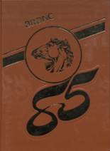 1985 Burns High School Yearbook from Burns, Wyoming cover image