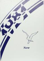 1981 Rock Port High School Yearbook from Rock port, Missouri cover image