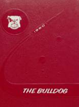 Ainsworth High School 1960 yearbook cover photo
