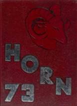 Marshall High School 1973 yearbook cover photo