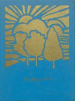 1977 Bowdle High School Yearbook from Bowdle, South Dakota cover image