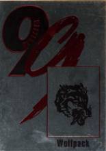 1999 San Augustine High School Yearbook from San augustine, Texas cover image