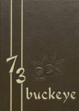 1973 Nelsonville High School Yearbook from Nelsonville, Ohio cover image