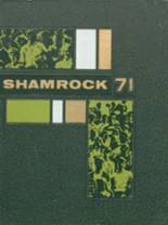 Dublin High School 1971 yearbook cover photo