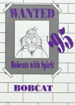 Dimmitt High School 1995 yearbook cover photo