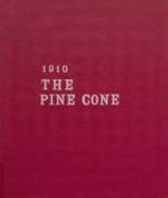 Pine Bluff High School 1910 yearbook cover photo
