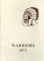 Webbers Falls High School 1973 yearbook cover photo
