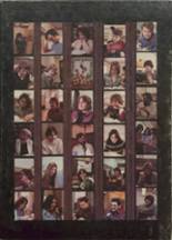 Enosburg Falls High School 1978 yearbook cover photo