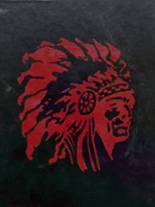 Aliquippa High School 1975 yearbook cover photo