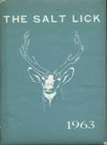 Salisbury-Elk Lick High School 1963 yearbook cover photo