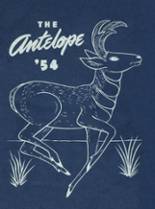 Whiteface High School 1954 yearbook cover photo