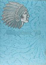 1973 Chippewa High School Yearbook from Doylestown, Ohio cover image