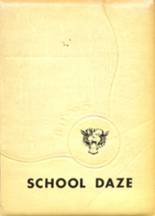 Henry County High School 1956 yearbook cover photo