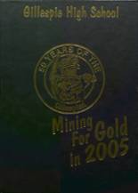 Gillespie Community High School 2005 yearbook cover photo