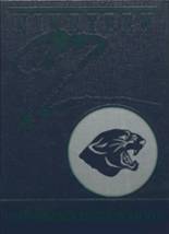 1992 Panorama High School Yearbook from Panora, Iowa cover image