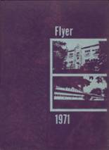 1971 New Market High School Yearbook from New market, Indiana cover image