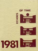 Kearny High School 1981 yearbook cover photo