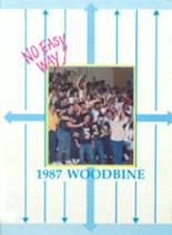 James Wood High School 1987 yearbook cover photo