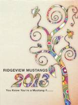 Ridgeview High School 2013 yearbook cover photo