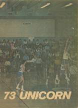 New Braunfels High School 1973 yearbook cover photo