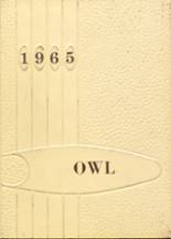 Brillion High School 1965 yearbook cover photo