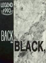 1993 Wando High School Yearbook from Mt. pleasant, South Carolina cover image