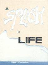 1991 Forest Lake High School Yearbook from Forest lake, Minnesota cover image