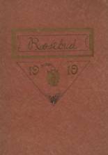 1919 Waterloo High School Yearbook from Waterloo, Indiana cover image