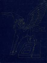 1981 Andover High School Yearbook from Andover, Massachusetts cover image