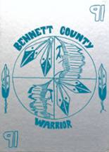 Bennett County High School 1991 yearbook cover photo