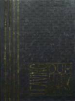1992 Lees Summit High School Yearbook from Lee's summit, Missouri cover image