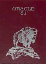 Carlisle High School 1981 yearbook cover photo