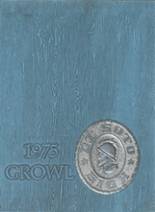 1975 Desoto County High School Yearbook from Arcadia, Florida cover image