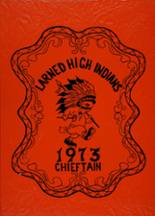 Larned High School 1973 yearbook cover photo