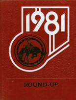 1981 Grantsville High School Yearbook from Grantsville, Utah cover image