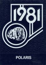 Indian Valley North High School 1981 yearbook cover photo