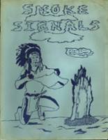 1980 Goldfield High School Yearbook from Goldfield, Iowa cover image