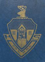 Canaan High School 1981 yearbook cover photo