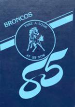 Belmond Community High School 1985 yearbook cover photo