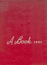 Aitkin High School 1961 yearbook cover photo